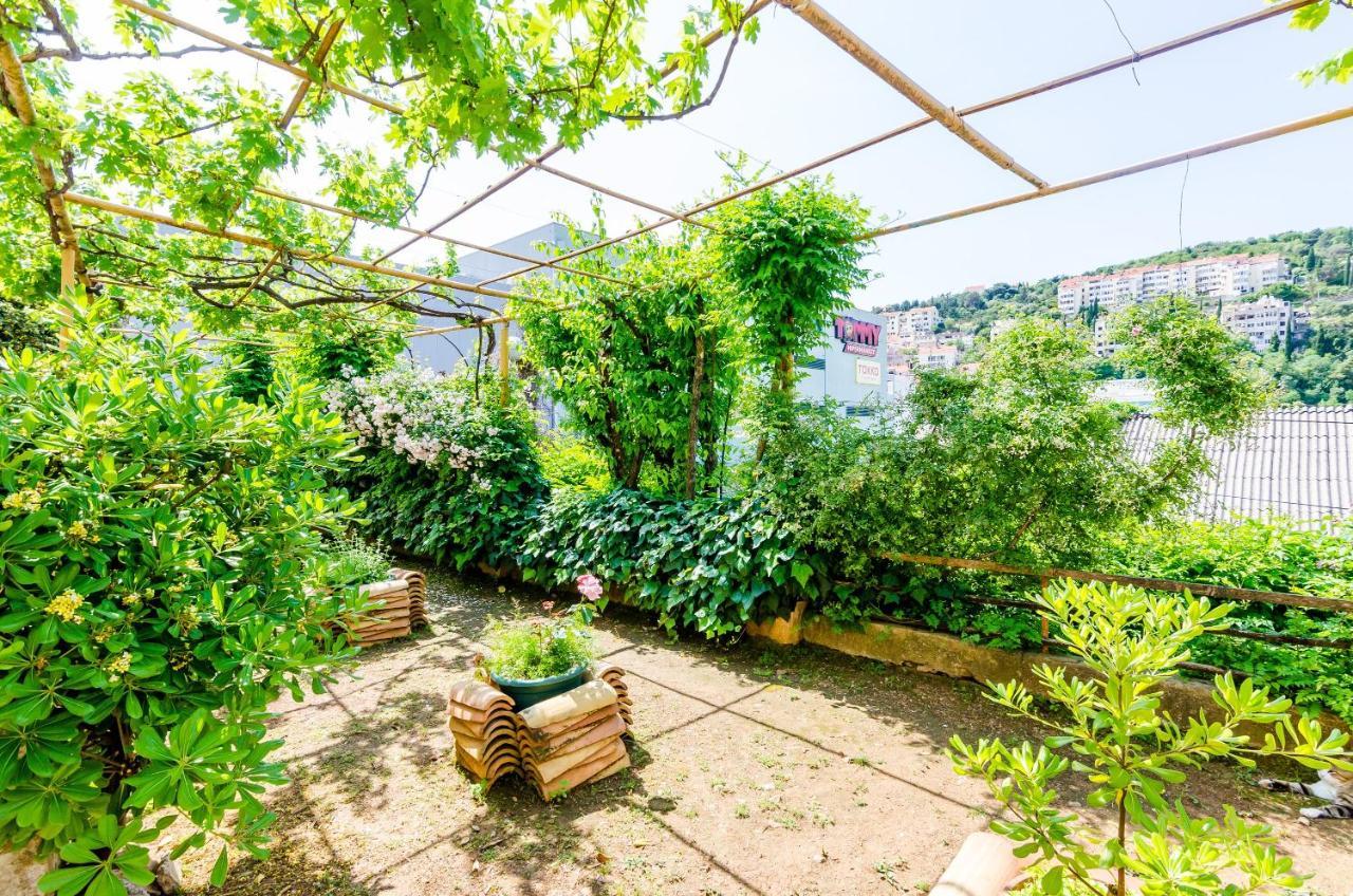 Ivana Apartament