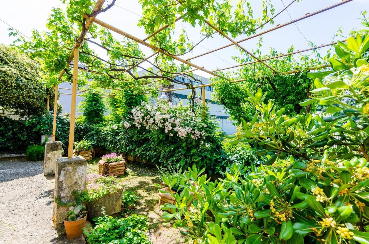 Apartament Ivana *